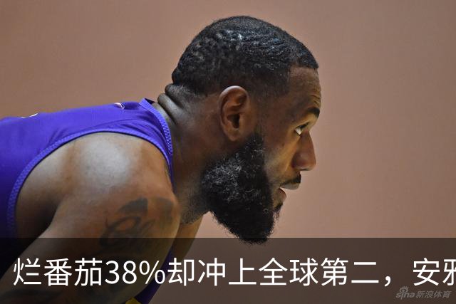 烂番茄38%却冲上全球第二，安雅新片打了谁的脸