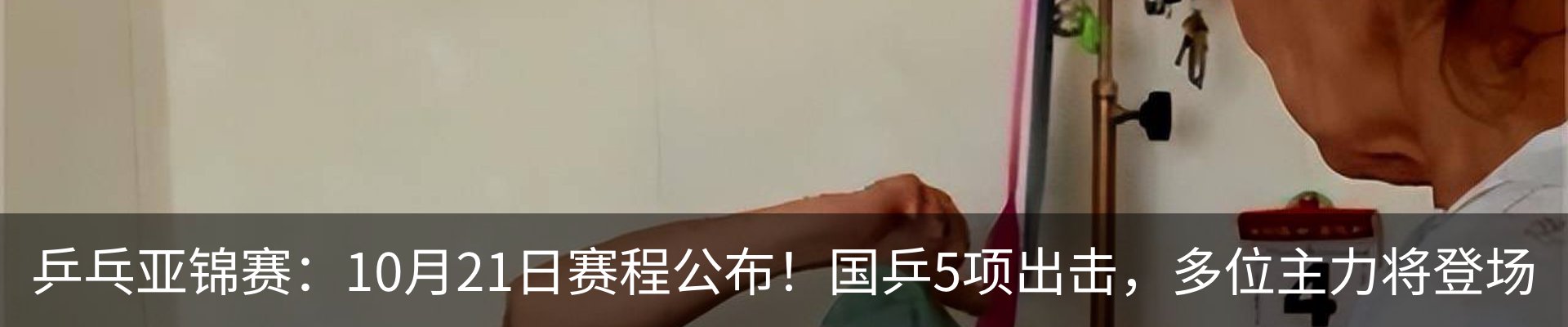 新闻动态