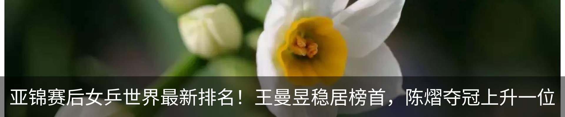 新闻动态
