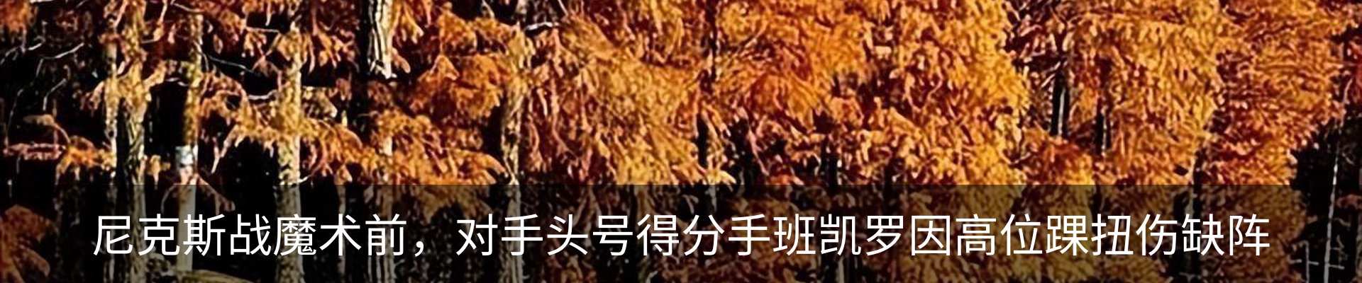 新闻动态