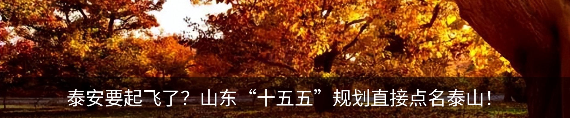 新闻动态